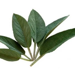 Sage leaves.