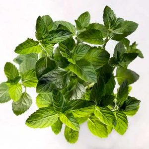 Spearmint leaves.