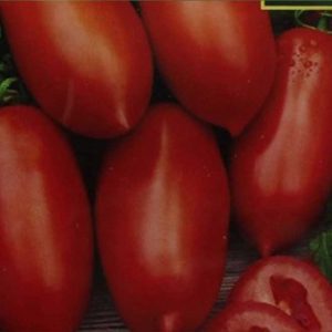 Tomato Roma produces fleshy, juicy, almost seedless fruits with a deliciously different flavor, which makes it an excellent variety for eating fresh too.