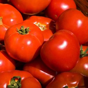 Tomato Trapezitza is one of the best for outdoor and greenhouse production without supports.